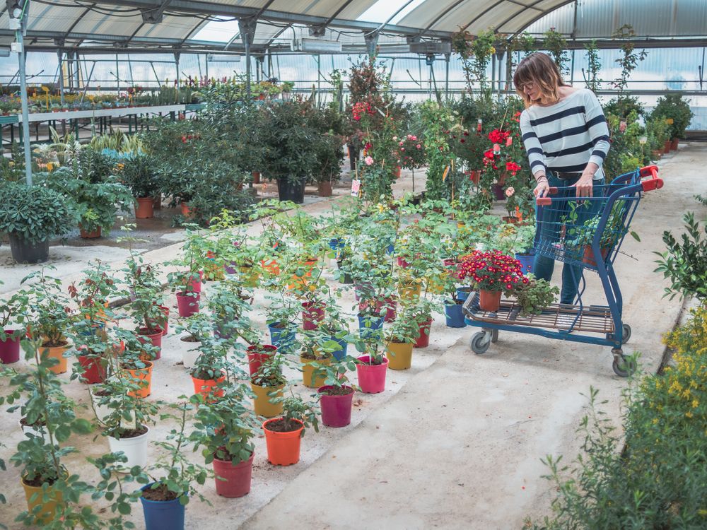 Female customer with cart on flower market