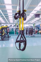 Yellow suspension ropes in gym 4dj9D0