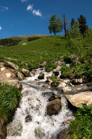 Small stream with rocky surroundings and green plants.