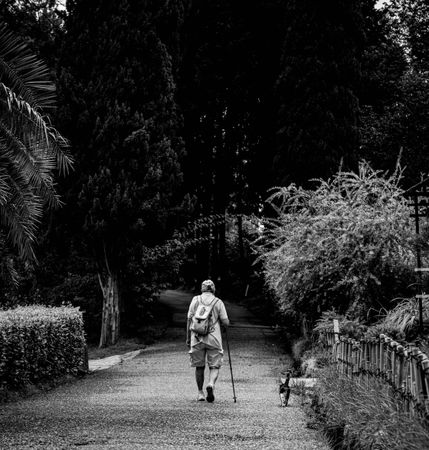 Monochrome back view of man with backpack and hiking stick walking in the woods