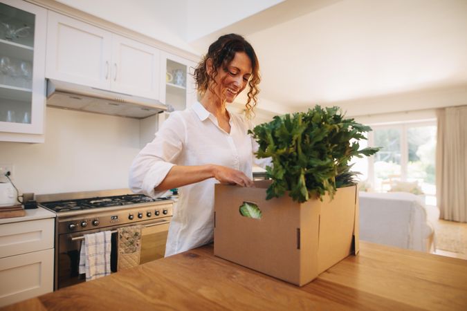 Woman checking the fresh vegetables and fruits in a delivery box