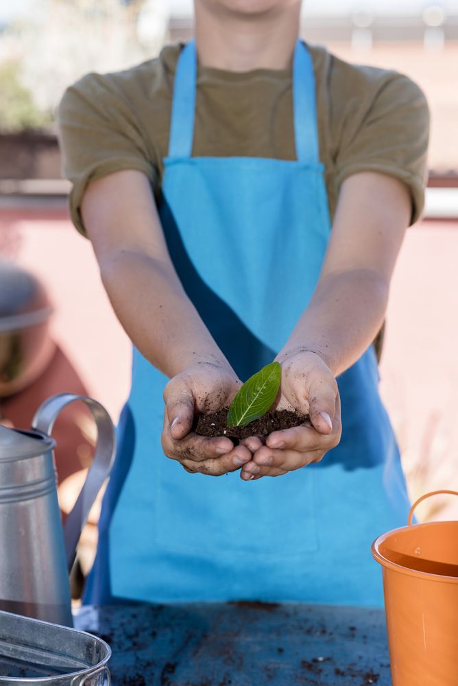 A boy holding new plant growing in hands