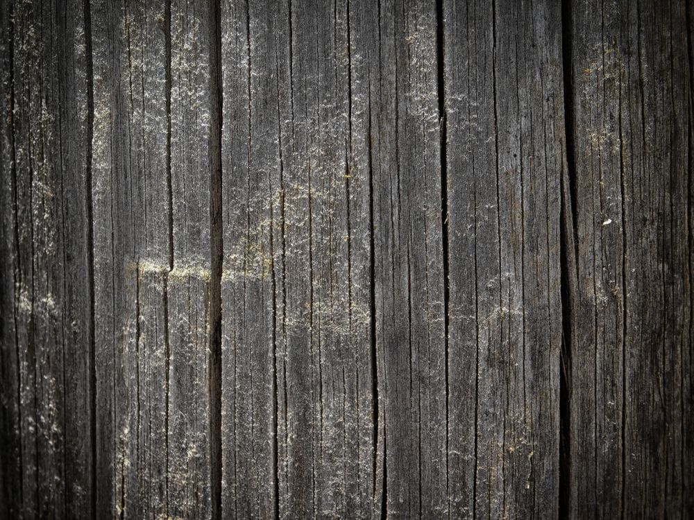 Dark Wood Texture In The Garden