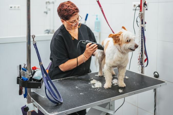 groomer shaving happy dog