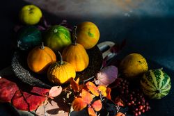 Fall squash on breadboard with leaves with space for text