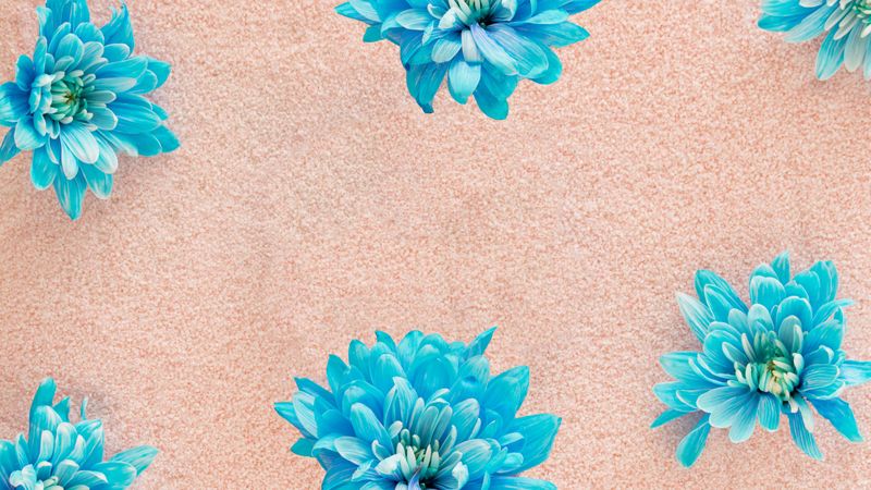 Fresh blue flowers on a sandy pink beige background