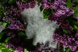 Spring floral card concept with lilacs surrounding grey counter