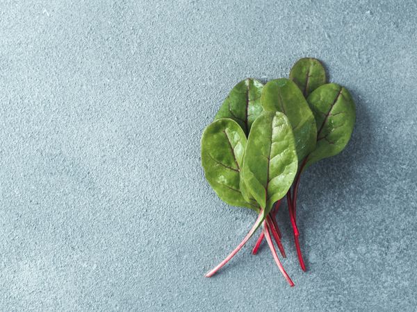 Bunch of green chard leaves or mangold