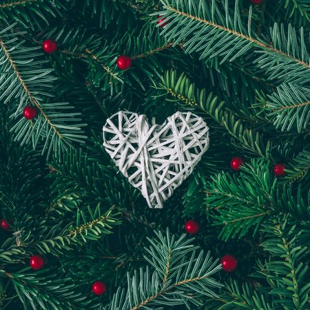 Christmas pine tree and holly branches with ornament heart