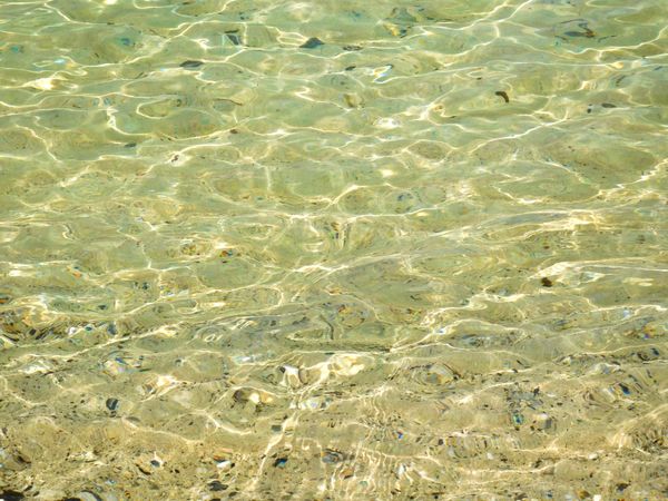 sea