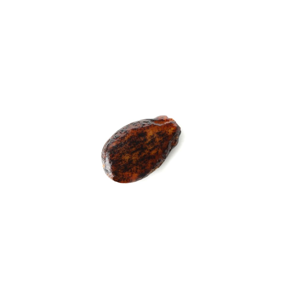 Watermelon seed isolated on plain background. Summer fruit