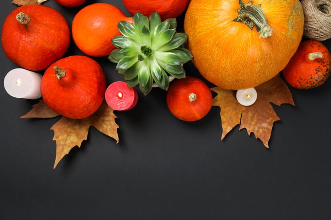 Composition with pumpkins, leaves and succulent on dark background, copy space