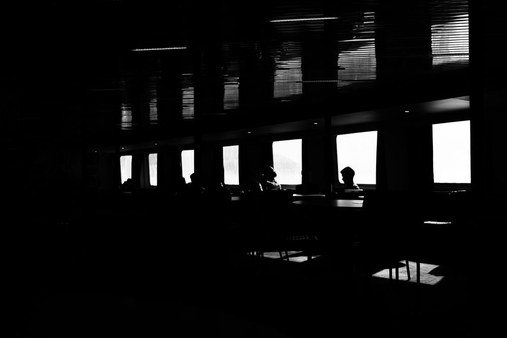 People sitting looking out windows