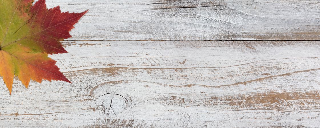 Autumn faded leafn on rustic wood