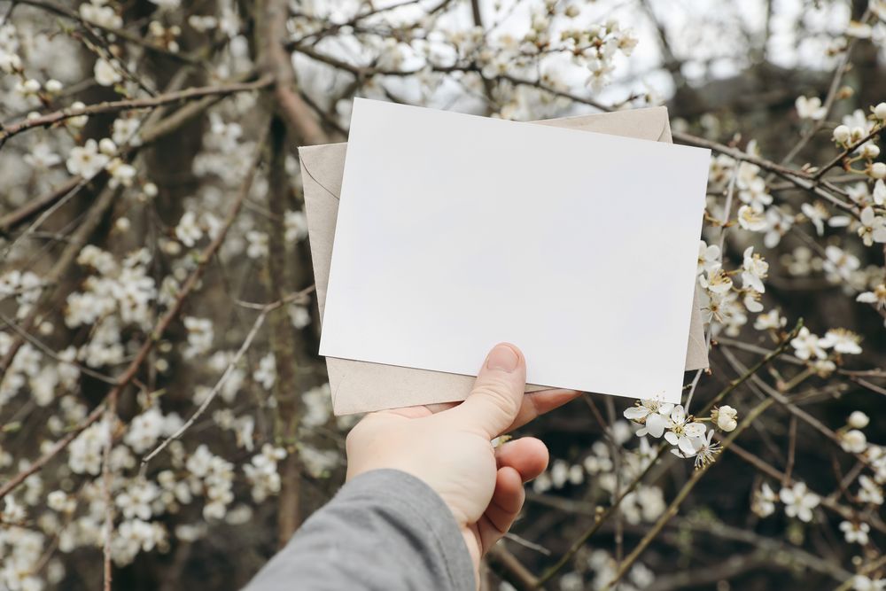Woman's hand holding blank greeting, invitation card, blooming cherry plum trees, blossoms in garden, orchard