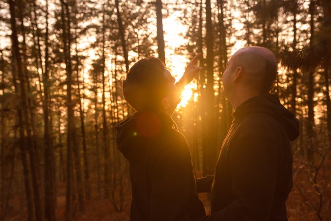 Men hugging in forest at sunset