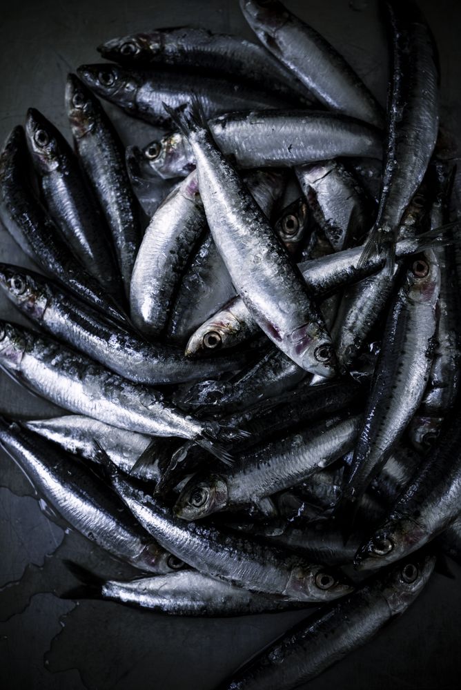 Tray with fresh fish