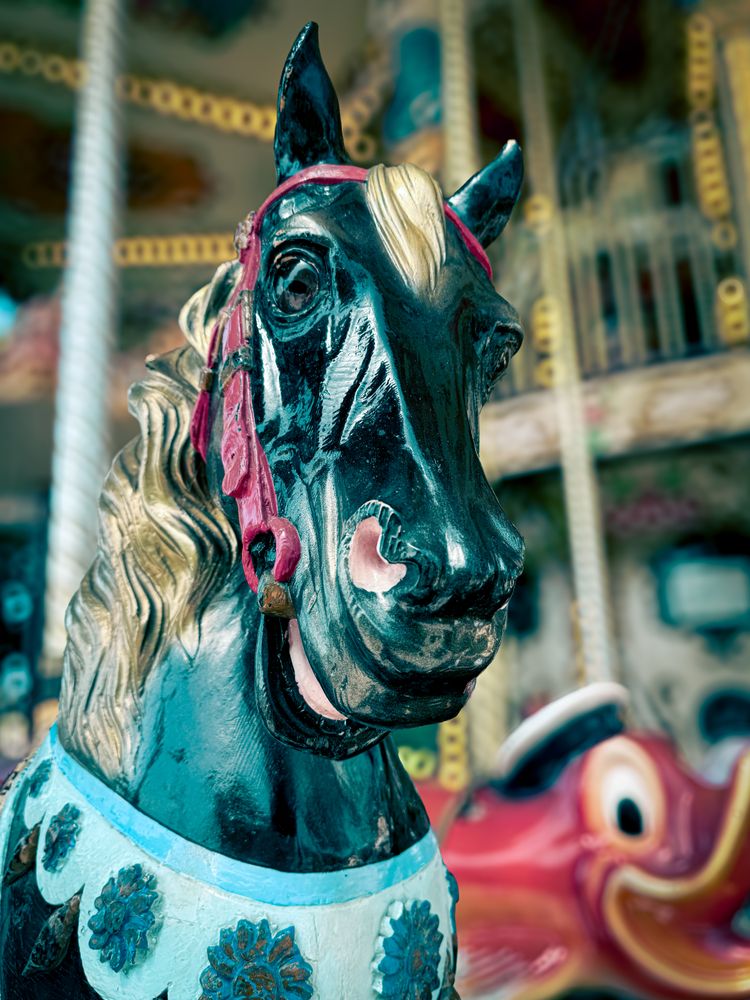 Stallion head: Carousel 1900