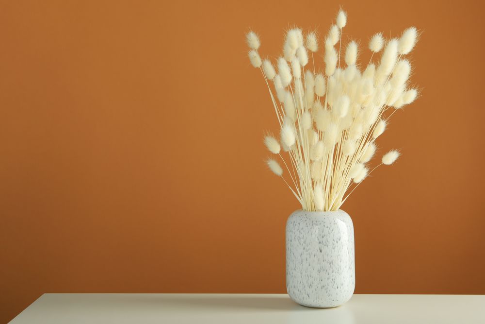 Vase of dried bunny tail bouquet on table in brown room