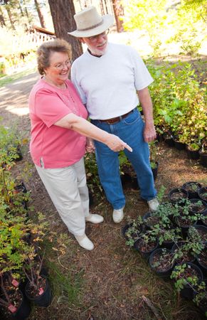 Older Couple Overlooking Potted Plants