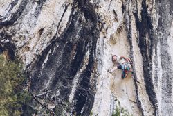 Anonymous man climbing rock