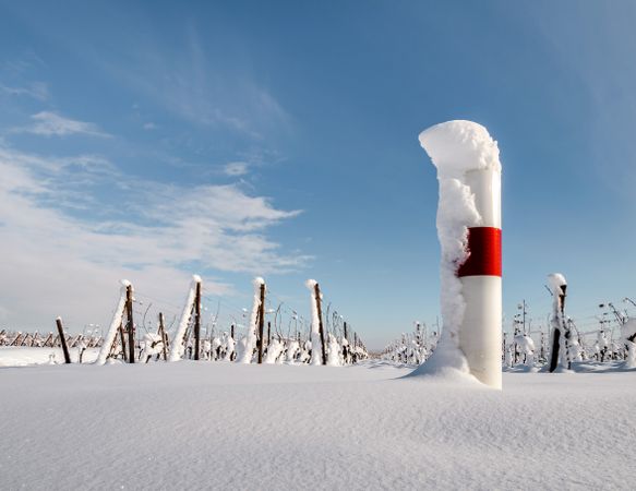 Alsace vineyards under heavy snow on a sunny winter day. Details and top view.