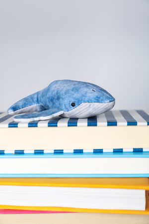 Concept of baby books or books for children