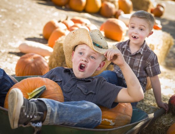 Two Little Boys Playing in Wheelbarrow at the Pumpkin Patch.