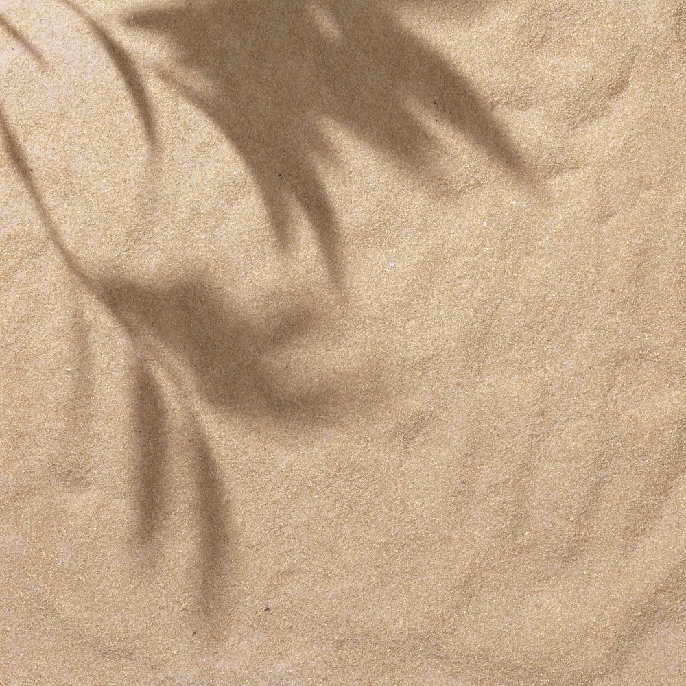 Sand with palm leaf shadows