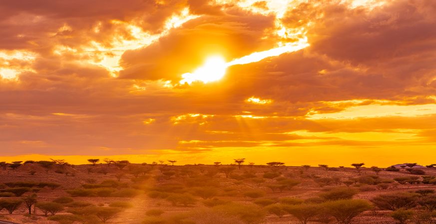 Kenya East Africa Landscapes Kalokol Lodwar Town Turkana Sunset Sunrise Highway Road Field Travels