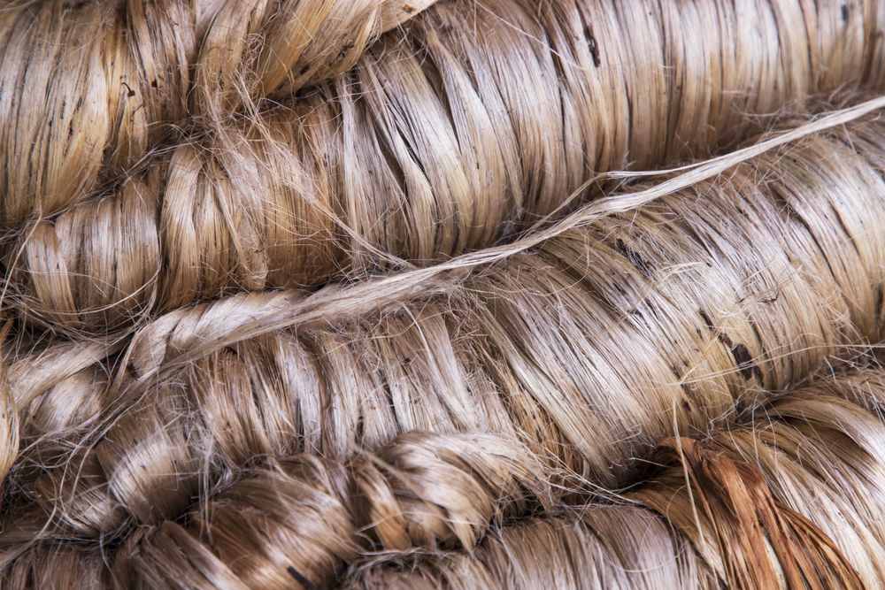 A thick bundle of Golden jute fiber Texture Background