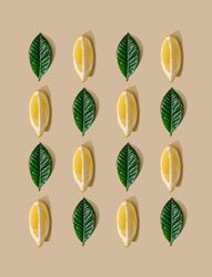 Pattern of green leaves and lemon slices on  pastel sand background