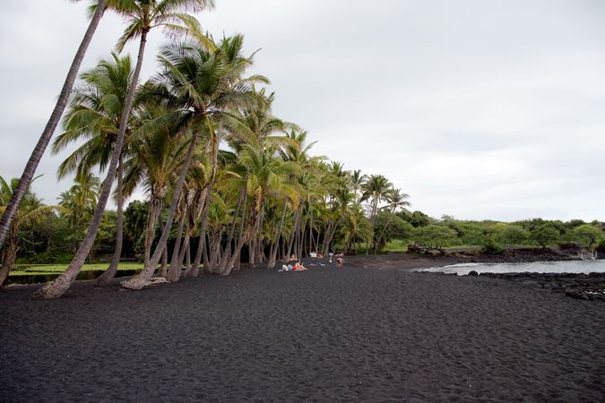 Punalu'u beach on the Big Island in Hawaii