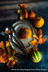 Top view of fall table settings of ceramic plates with leaves, gourds and cutlery 5wO3Z5