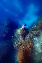 Unrecognizable diver swimming in ocean water