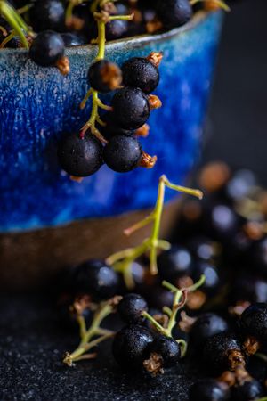 Close up of delicate blackcurrant berries overflowing from cup