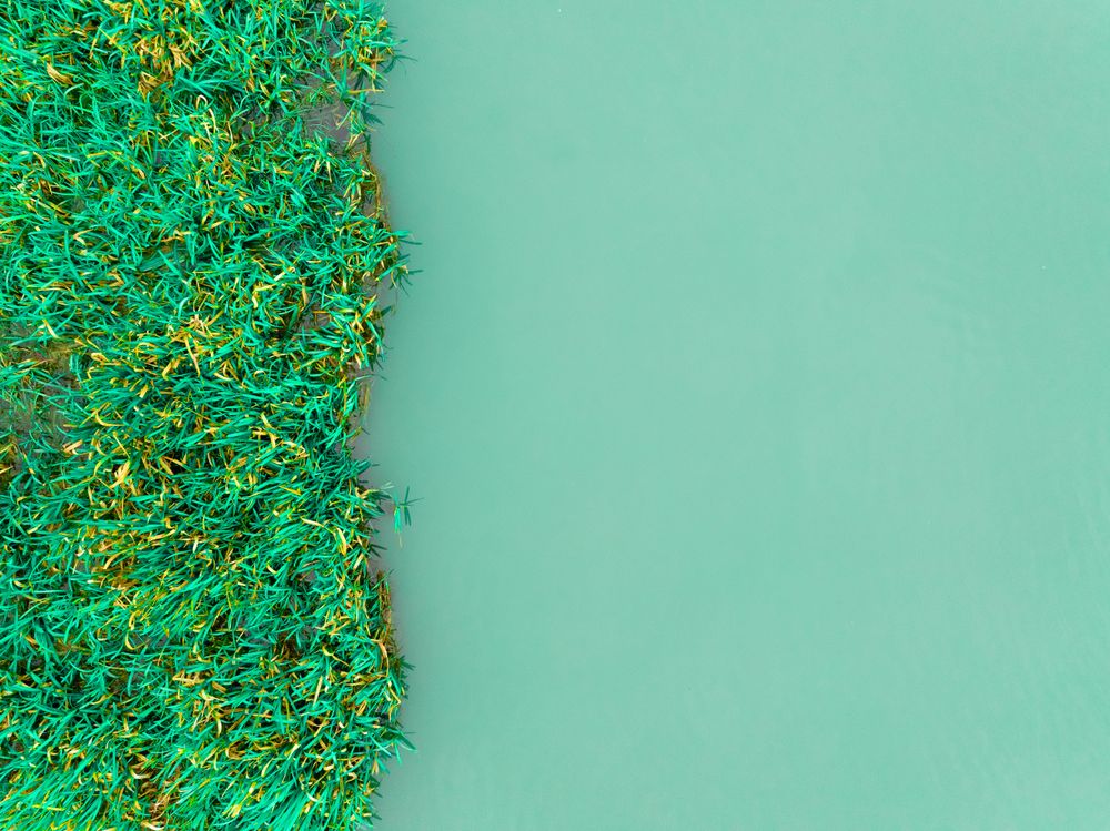 Earth Day background.