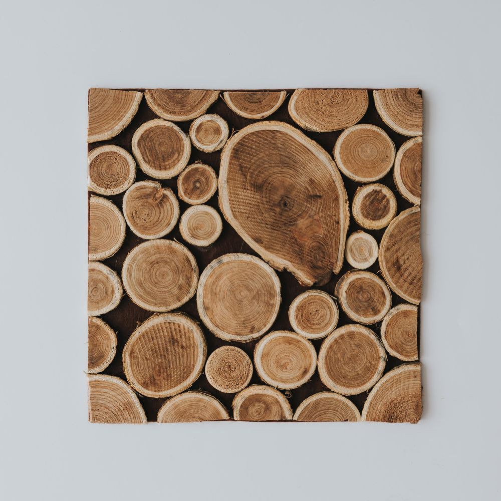 Cross section of cut trees