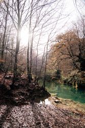 Pond in autumn day