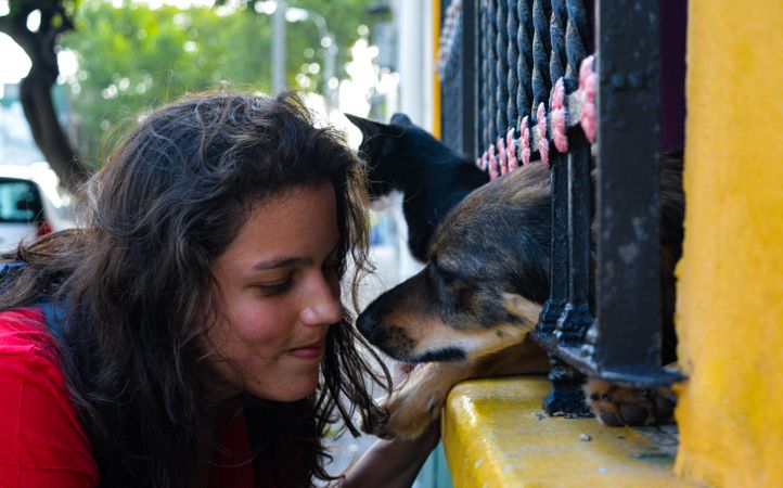Woman petting friendly dog on street