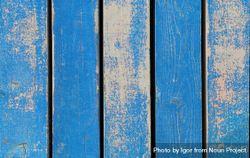 Old wooden texture with chipping blue paint 43223X