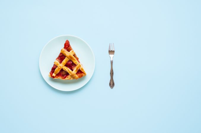 Slice of rhubarb pie on a plate