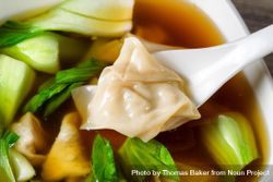Chinese wanton soup with bok choy 49LkE5