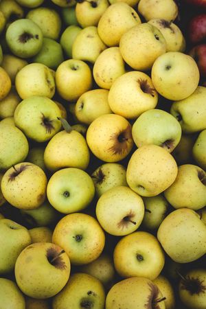 street market of assortment of fresh fruits and vegetables