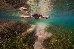 Unrecognizable person snorkeling in deep ocean