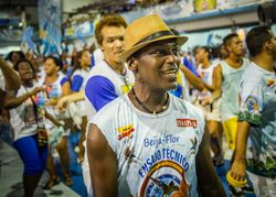 Rio de Janeiro, Brazil - February 13 2014: Fans cheering in samba school