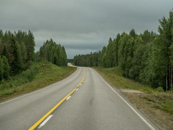 Empty asphalt road in forest