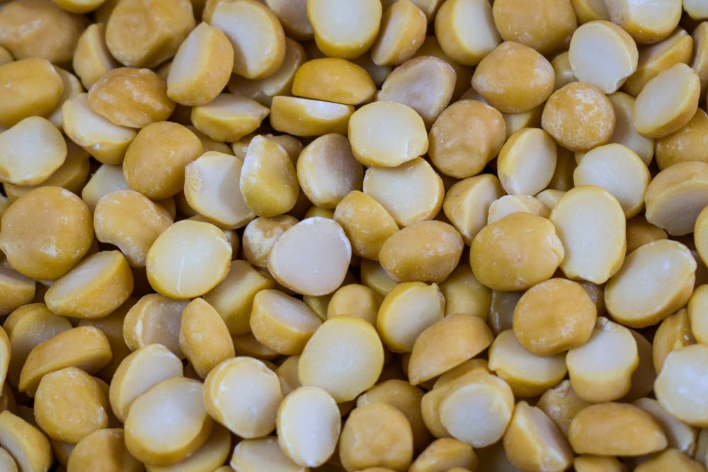 A background full of yellow Split Chickpeas also called Chana Dal or Split Bengal Gram