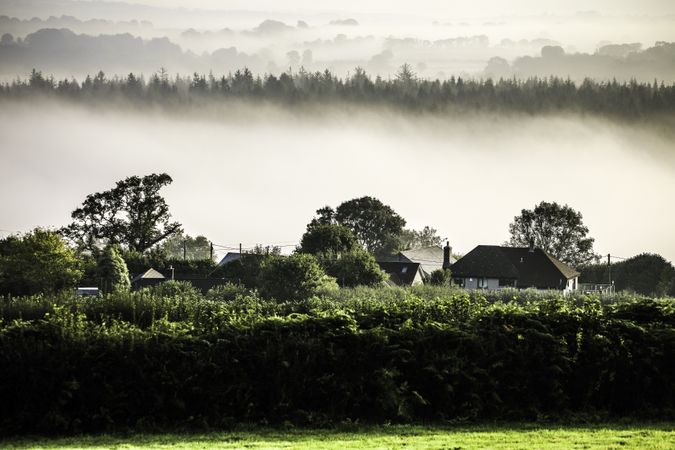 Foggy British village among trees and hedges