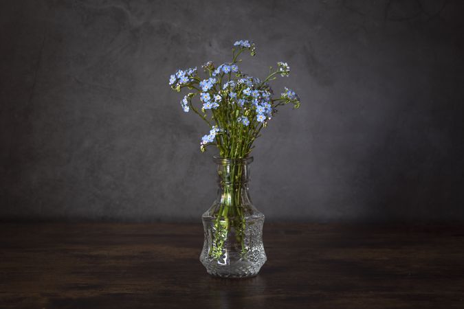 Bouquet of forget me nots in glass vase